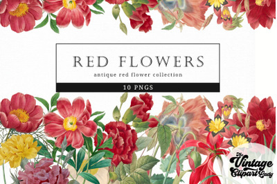 Red Flowers Vintage Floral Botanical Clip Art