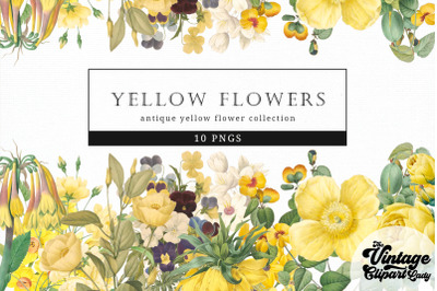 Yellow Flowers Vintage Floral Botanical Clip Art
