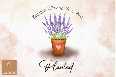 Bloom Where You Are Planted Lover Design