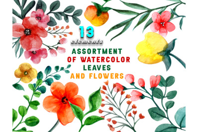 Pack of watercolor leaves and flowers