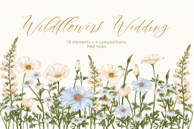 Wildflowers Botanical Wedding Clipart Daisy Boho Flowers Greenery
