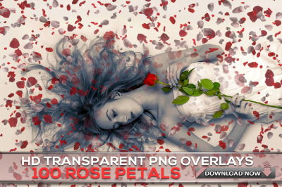 100 TRANSPARENT PNG White, Red, Pink, Purple Falling Rose Petals Overlays