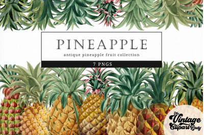 Pineapple Vintage Fruit Botanical Clip Art