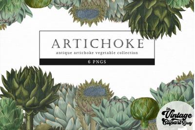 Artichoke Vintage Vegetable Botanical Clip Art