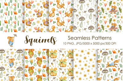 Watercolor squirrel seamless patterns.