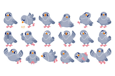 Cartoon pigeon. Funny bird character with various emotions in differen