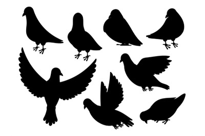 Pigeon silhouette. Black flying standing bird, dove silhouette isolate