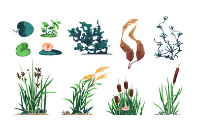 Lake plants. Pond flora and swamp botany game asset with reed, cattail