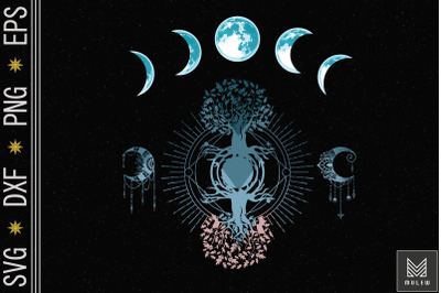 Phases The Moon Tree Meditate Yoga