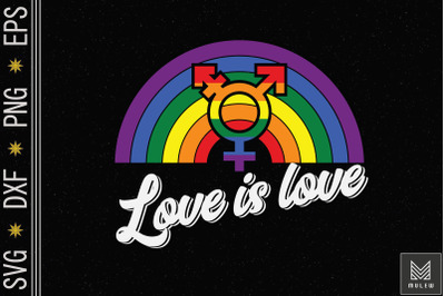 Vintage Rainbow Lgbt Pride Love Is Love