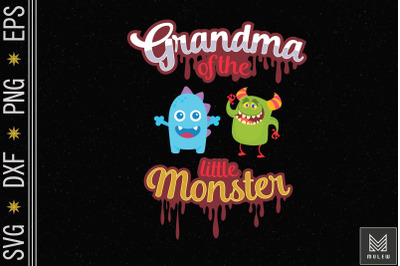 Grandma Of The Little Monster Son