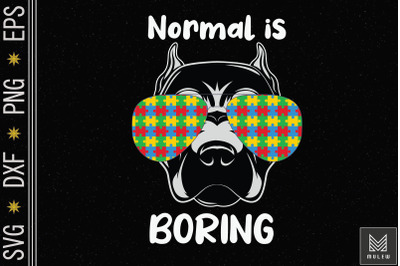 Normal Is Boring Autism Awareness