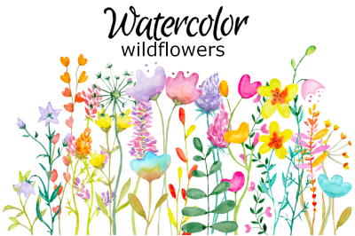 Watercolor wildflowers clipart meadow flower wild botanical summer