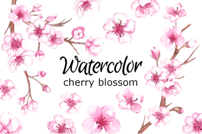 Cherry blossom watercolor clipart flower floral botanical sakura