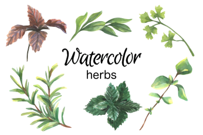 Cooking herbs watercolor clip art