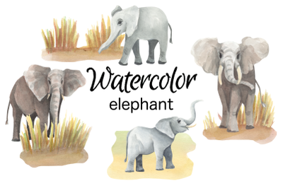 Elephant watercolor clip art