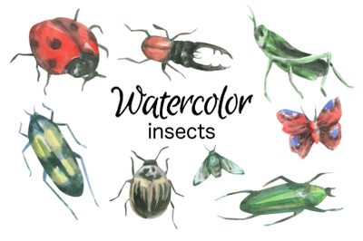 Insects watercolor clip art