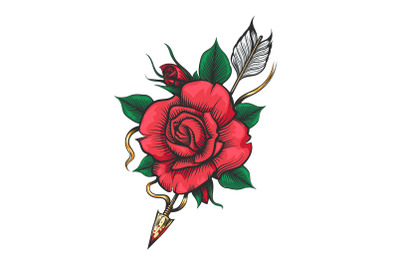 Rose Flower and Arrow Tattoo Illustration isolated on white
