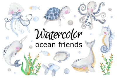 Ocean friends watercolor clipart