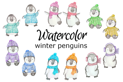 Winter penguins watercolor clipart