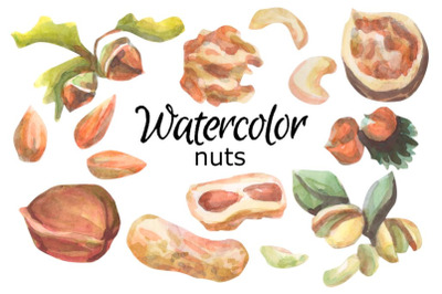 Nuts watercolor clipart