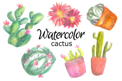 Cactus watercolor clipart