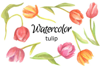 Tulips watercolor clip art