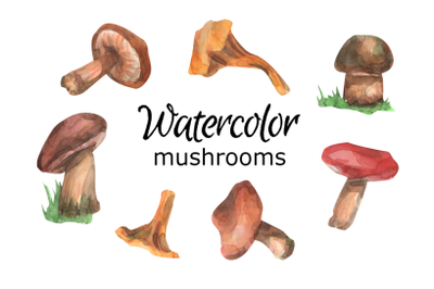 Mushrooms watercolor clip art