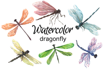 Dragonfly watercolor clip art