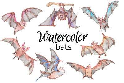 Watercolor bat clipart