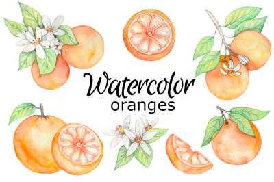 Watercolor oranges clipart