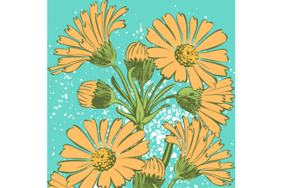 Attractively arranged bunch of flowers.Drawn yellow Chrysanthemum flow