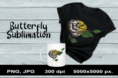 Butterfly Sublimation PNG Design