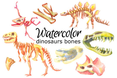 Dinosaur bones watercolor clip art