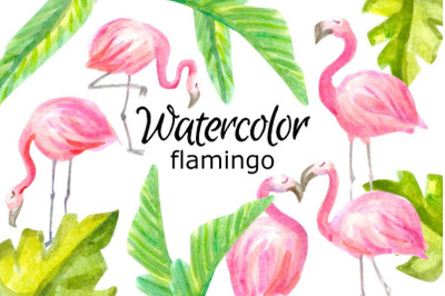 Watercolor flamingo clipart