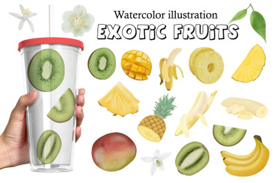 Watercolor illustration Exotic fruits.PNG sublimation.Summer