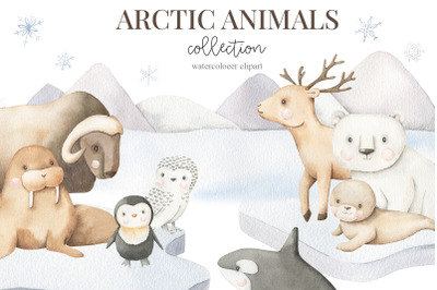 Arctic animals - watercolor set