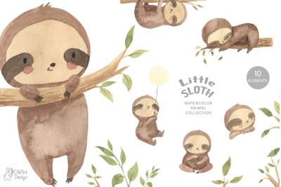 SLOTH clipart. Watercolor baby sloth png