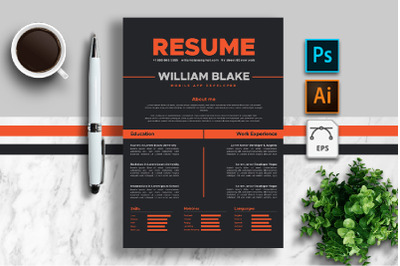 CV Resume Template For Developer