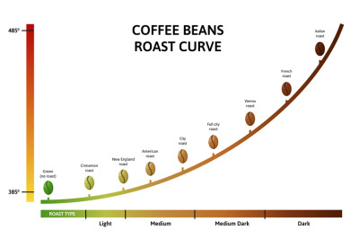 Coffee roasting levels. Roast curve, optimal temperature for roasting