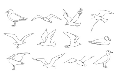 One line seagulls. Flying seabird&2C; nautical bird and beach animal cont