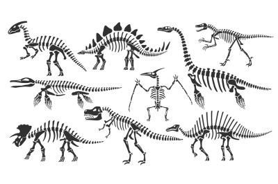 Dinosaur skeletons. Dino bones, stegosaurus fossil and tyrannosaurus s