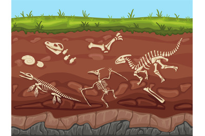 Soil layers with fossils. Ground layers with dinosaur bones and fossil