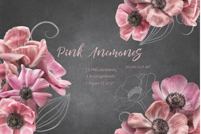 Anemones clipart. Pink flowers bouquets PNG.