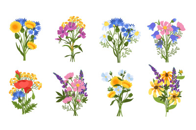 Meadow flowers bouquets. Beautiful blossom plants&2C; cute compositions&2C;