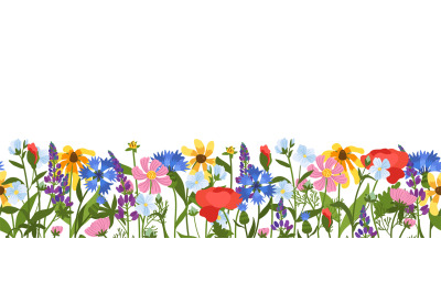 Wild meadow flowers seamless border. Beautiful field herbs, decorative