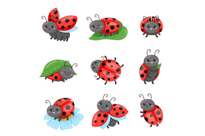 Cartoon ladybug. Funny cute red beetle with polka dots pattern, flying