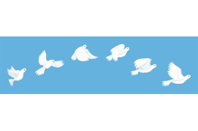 Flying bird animation. White pigeon flapping wings sequence, stop moti