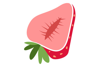 Strawberry half. Red ripe berry cut icon