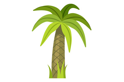 Jungle tree. Cartoon palm. Green nature symbol